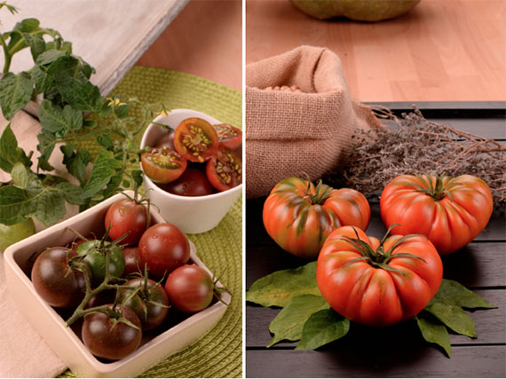 Cultiva en tu huerto los más deliciosos tomates ‘gourmet’